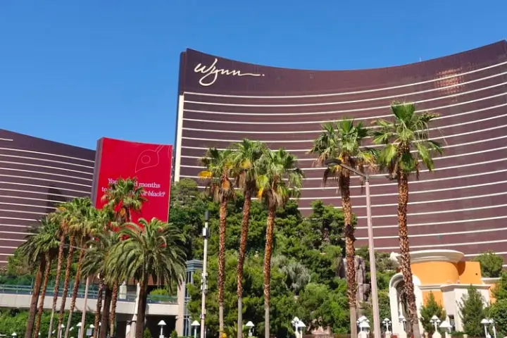 Possono i cani percepire il sapore del piccante? Nuove ricerche